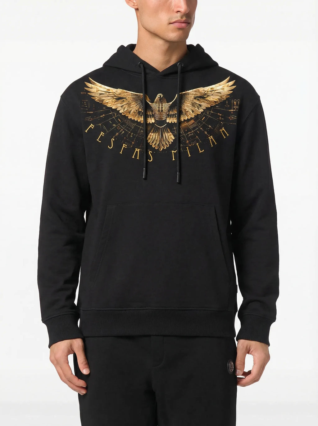 Áo hoodie FesFas in hình đại bàng