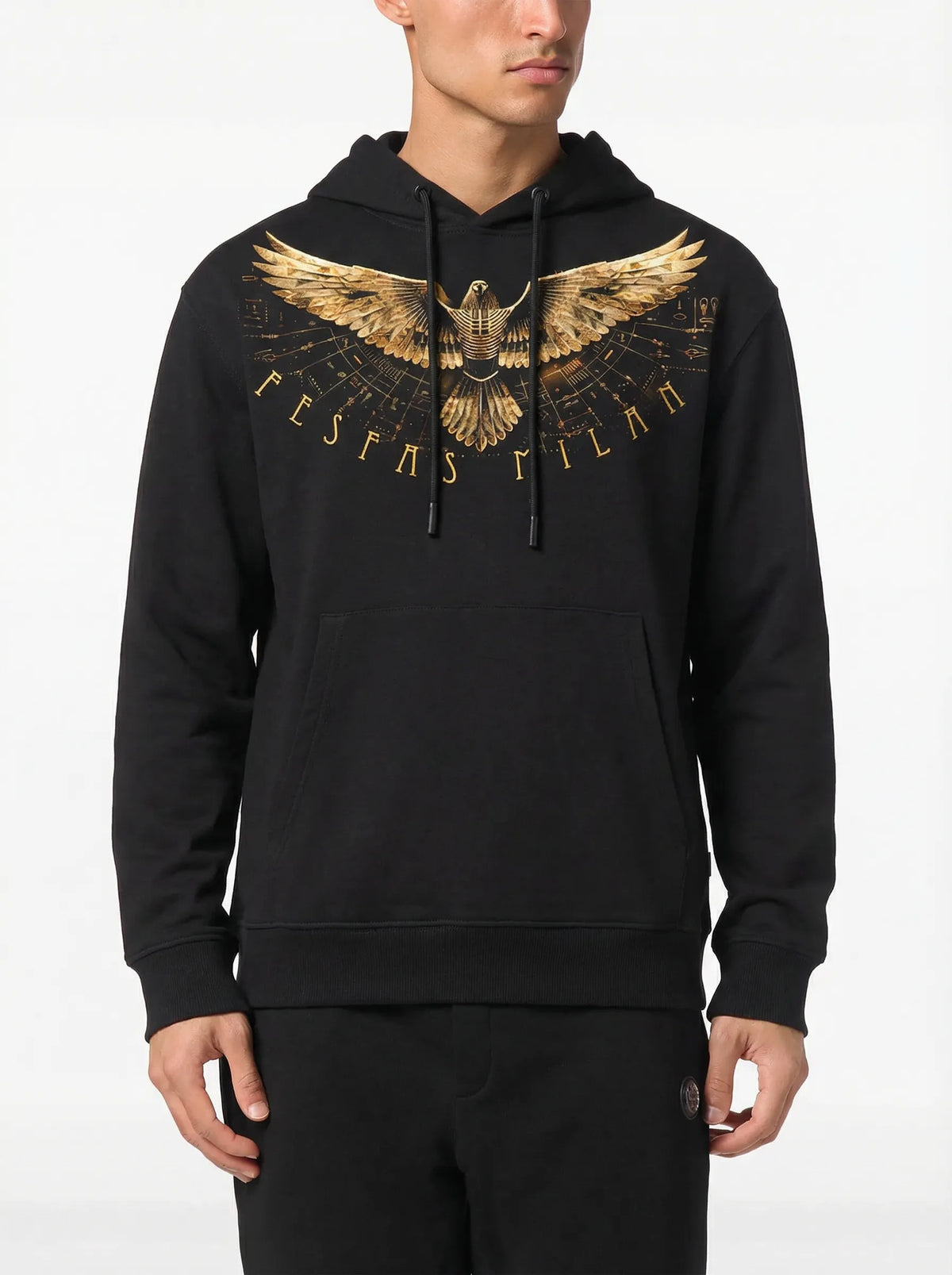 Áo hoodie FesFas in hình đại bàng