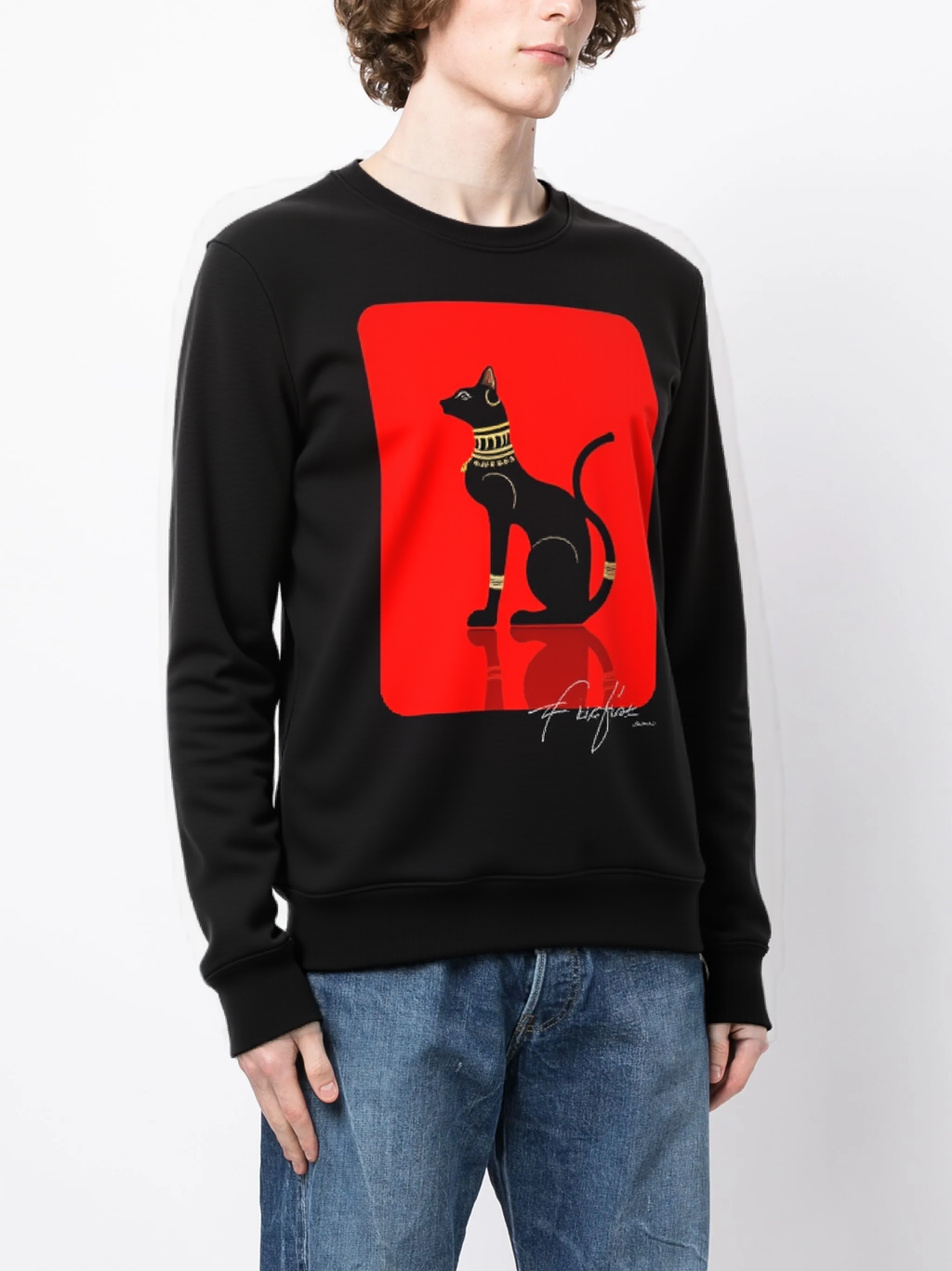 Áo nỉ cổ tròn FesFas in hình sphynx