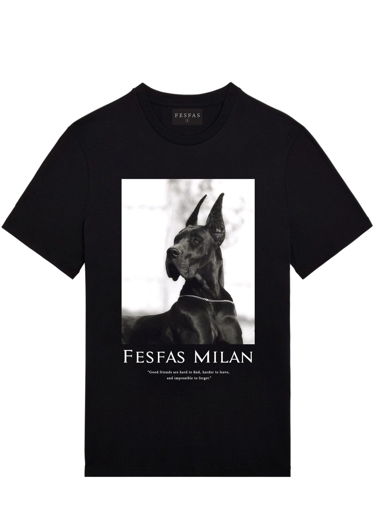 Áo thun FesFas in hình chó Doberman