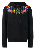 Áo hoodie FesFas in hình màu sắc