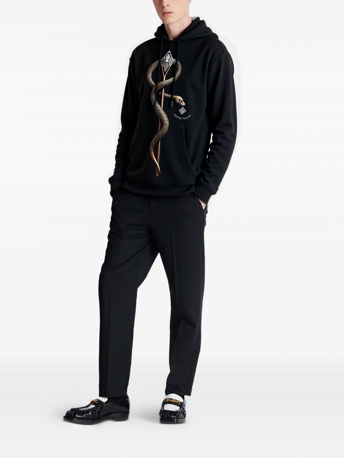 Áo hoodie FesFas in hình rắn