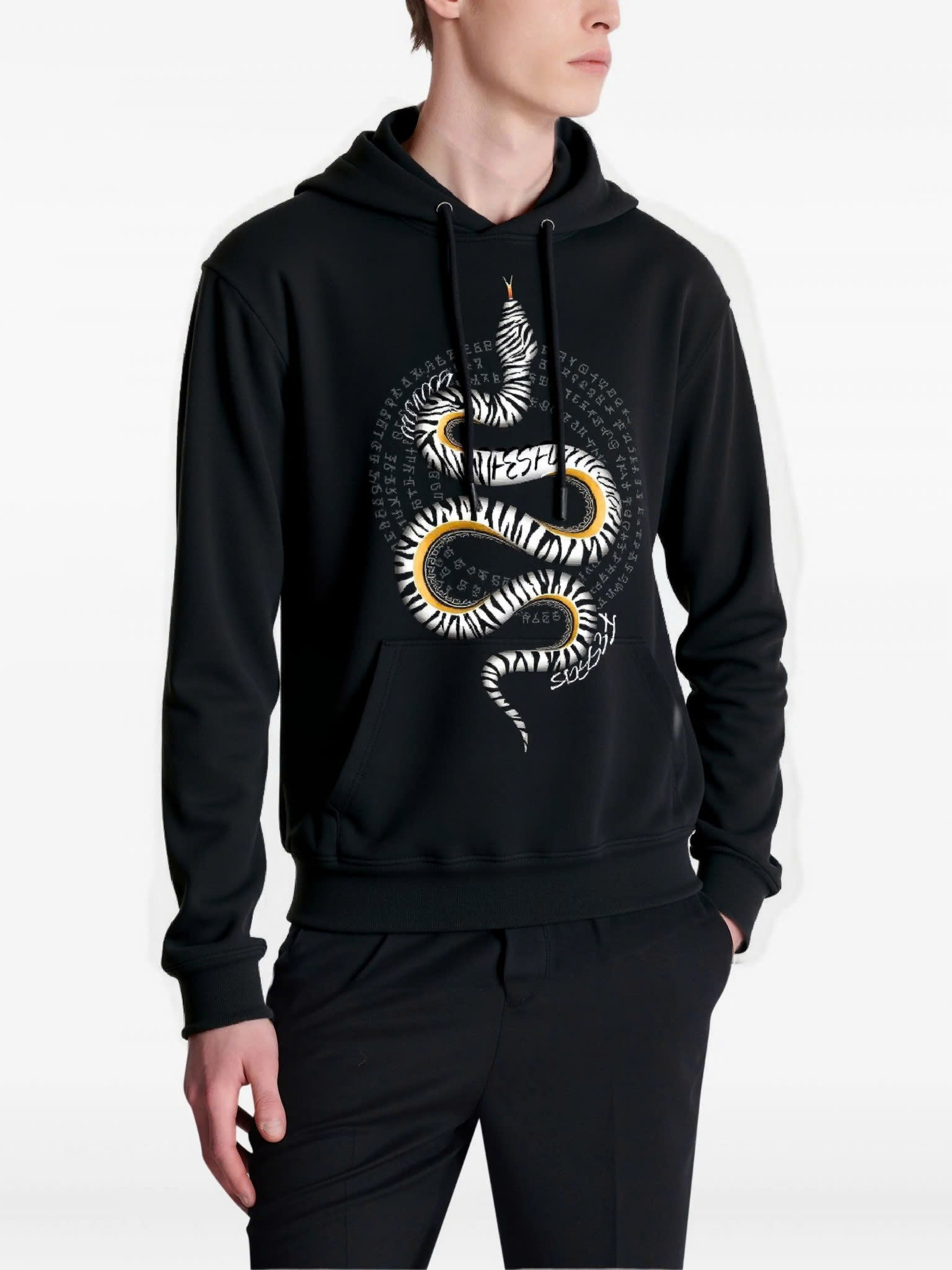 Áo hoodie FesFas in hình rắn